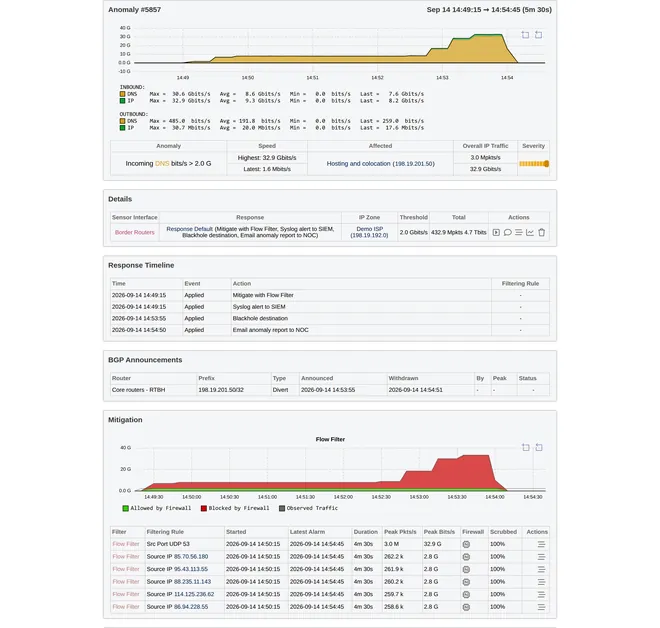 Wanguard Console: an anomaly report of a DNS amplification with the summary graph, response timeline, BGP blackhole announcement and the Flow Filter mitigation graph