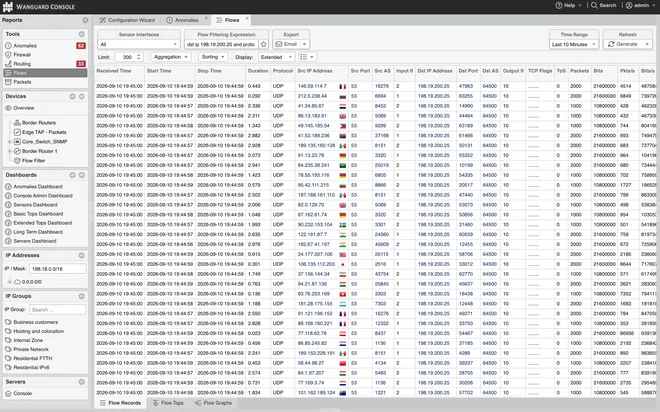 Wanguard Console: the Flow Records report listing the NetFlow records of a DNS amplification against one IP, filtered by destination IP and protocol